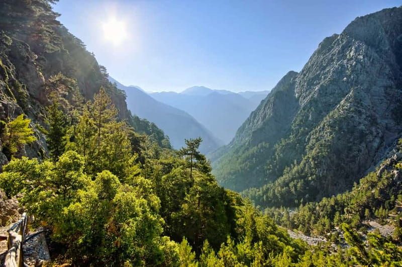 From Chania: Full-Day Samaria Gorge Trek Excursion & Guide - Indigenous plants, birds, and mountain goats: the guide’s value