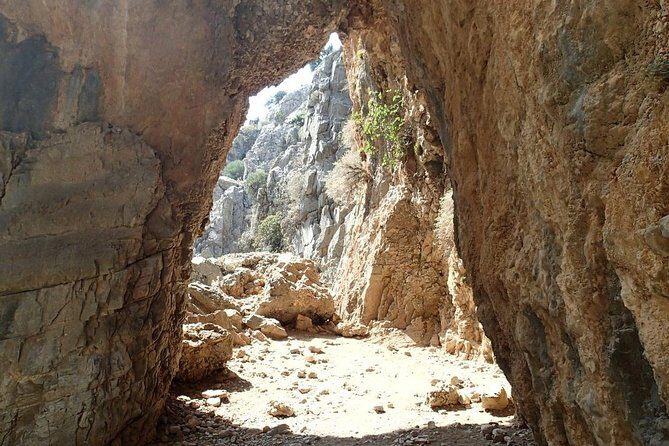 From Chania: Imbros Gorge and Sfakia Experience Hike & Swim - A Deep Dive into the Tour Experience