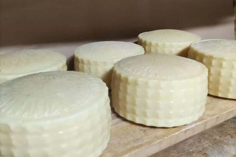 From Chania: Olive Oil, Wine, Cheese & Honey Tasting Tour - Who Is This Tour Best For?