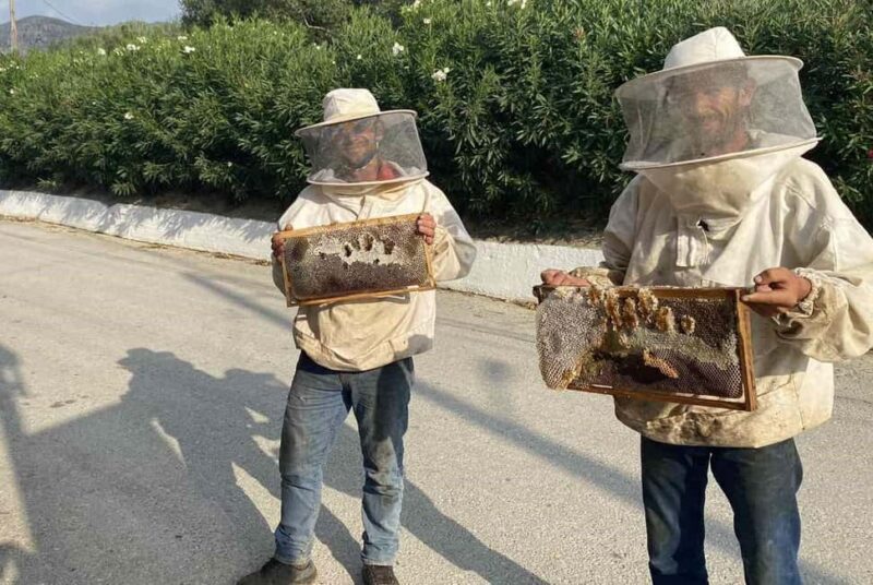 From Chania: Olive Tree, Bakery, & Winery Tour with Tasting - FAQs