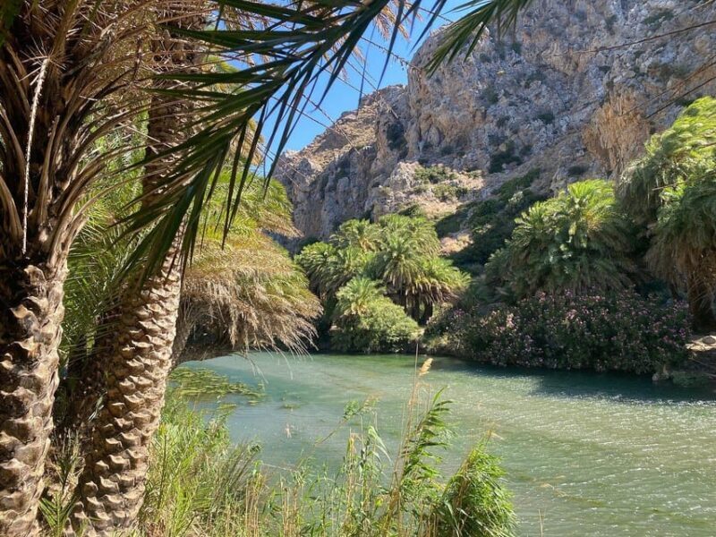 From Chania: Preveli Palm Beach and Kourtaliotis Waterfalls - Who Should Consider This Tour?