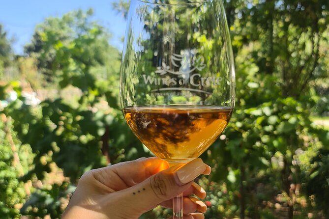 From Chania Private half day Winery-Olive factory-Kournas lake - Who is This Tour Best For?