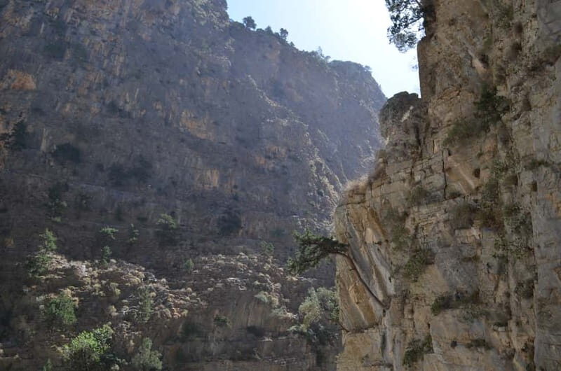 From Chania: Samaria Gorge Hike with Local Mountain Guide - An In-Depth Look at the Tour