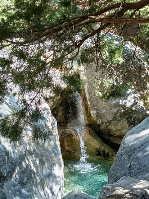 From Chania: Samaria Gorge with Professional Hiking Guide - The Reviews: Authentic Perspectives