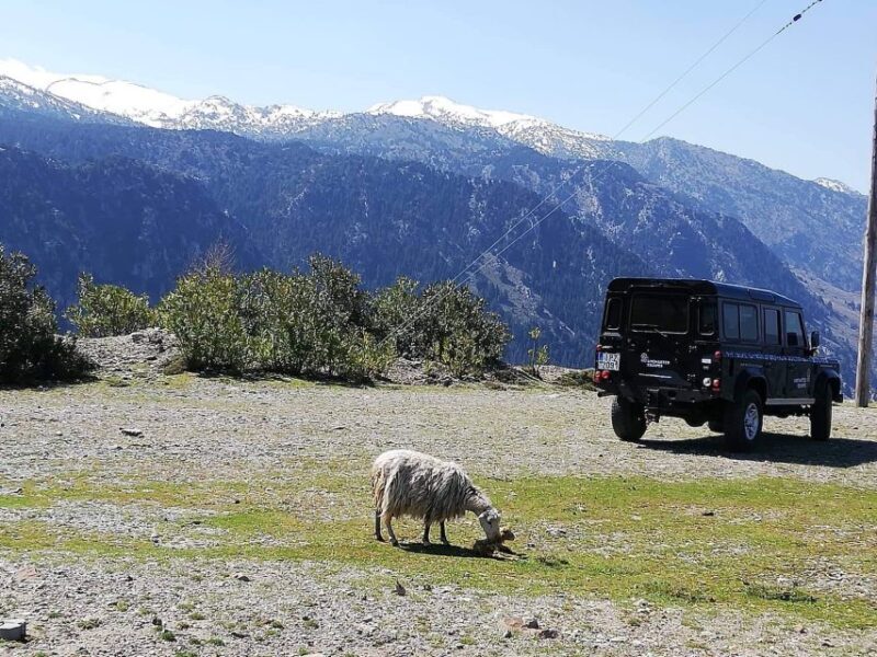 From Chania: White Mountains Land Rover Safari - Exploring Crete’s White Mountains in a Land Rover