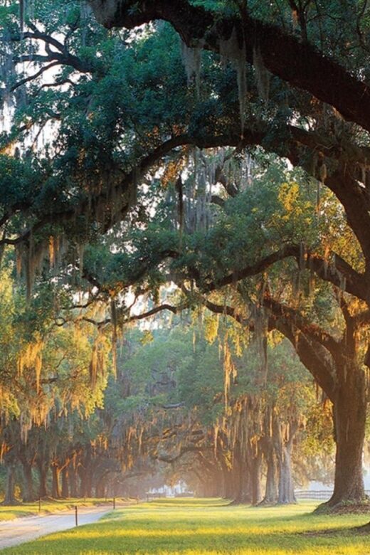 From Charleston: Boone Hall Plantation Entry with Transfers - FAQ