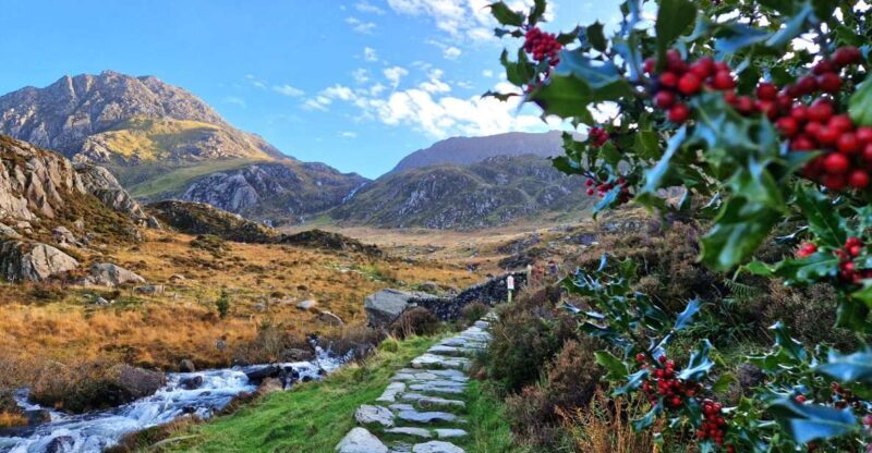 From Chester: North Wales and Caernarfon Castle Tour - The Journey Through North Wales: What You Can Expect