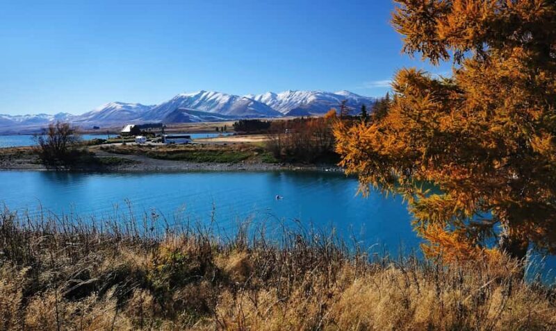 From Christchurch: Queenstown via Tekapo & Mt Cook Day Trip - High Country Salmon: Tasting and Feeding