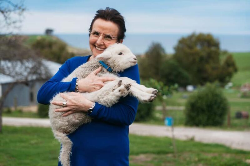 From Christchurch: Sheep Farm Experience with Lunch & Winery - What to Expect from the Tour