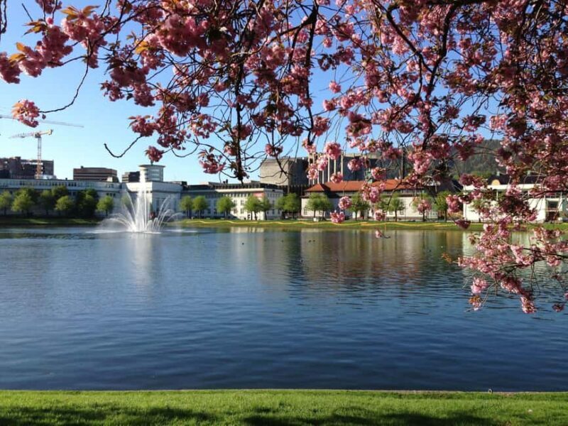 From City Lights to Fjord Sights - Citywalk and Oster Fjord - A Closer Look at the Schedule and Highlights