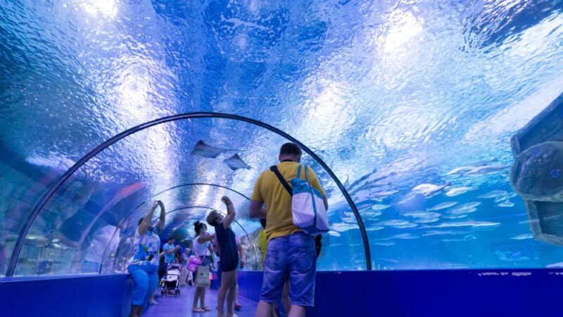 From city of Side: Antalya Aquarium Full-Day Trip - Practical Tips for Your Trip