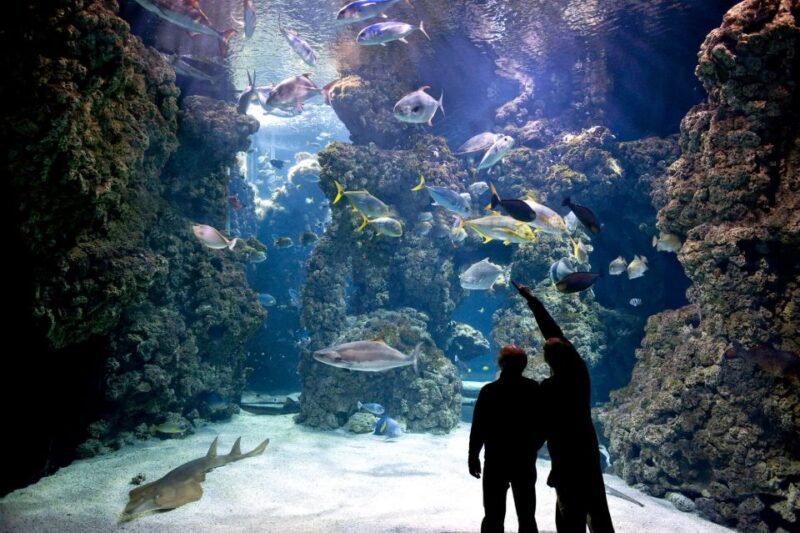 From city of Side: Antalya Aquarium Full-Day Trip - FAQs