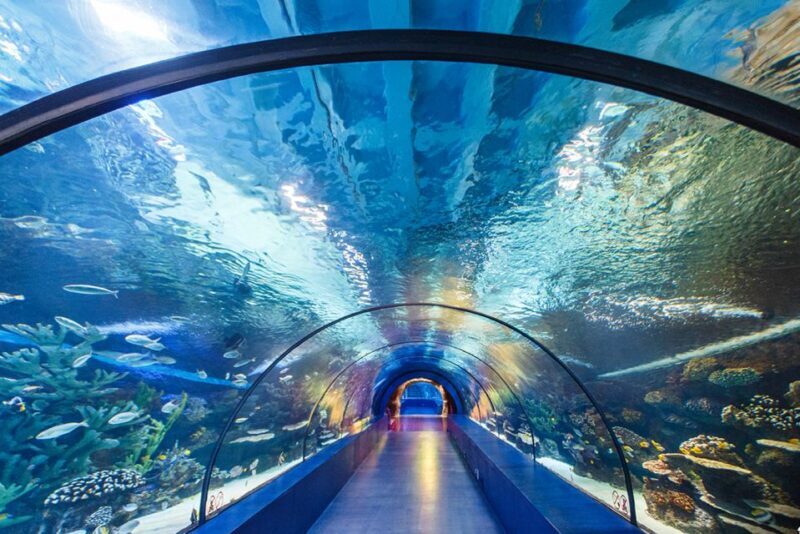 From City of Side: Antalya Aquarium Tour, Ticket & Transfer - Key Points