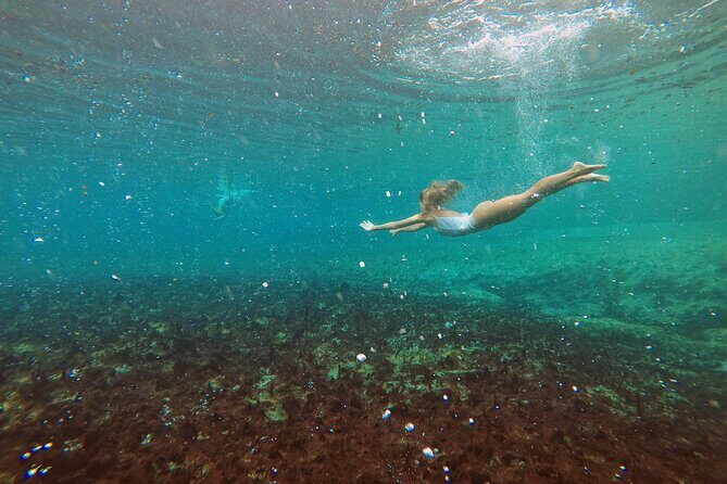 from Civitavecchia: Saturnia natural hot springs experience - Key Points