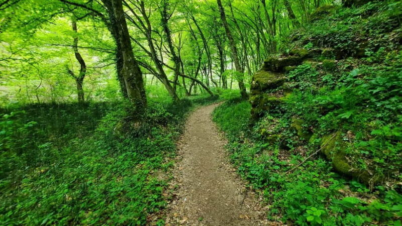 From Cluj: Gorges of Crisul Repede River - Who Should Consider This Tour?