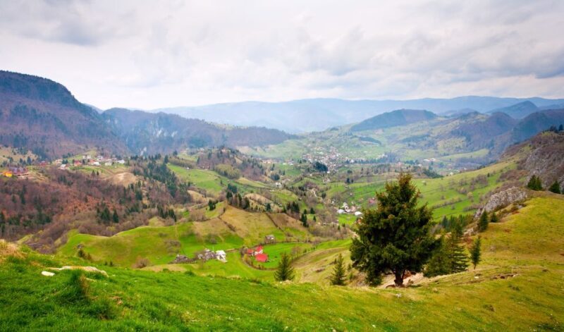 From Cluj-Napoca: 2-Day Bucovina & Painted Monasteries Tour - Key Points