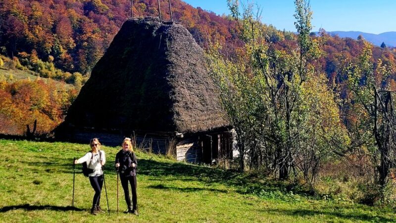 From Cluj-Napoca: Apuseni Mountains Hiking Guided Day Tour - Starting Out: Easy Access and a Scenic Drive