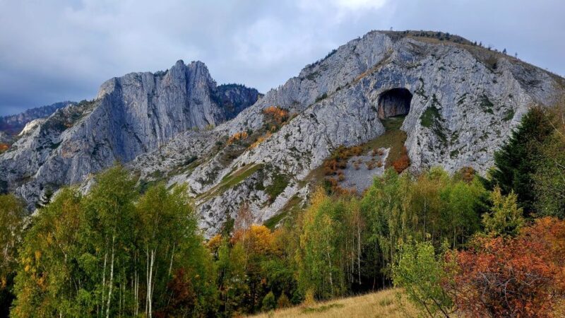 From Cluj-Napoca: Apuseni Mountains Hiking Guided Day Tour - The Peak and the Reserve: A Natural Treasure