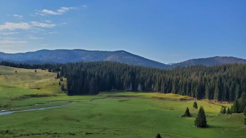 From Cluj-Napoca: Carpathian Mountains Guided Scenic Hike - Key Points