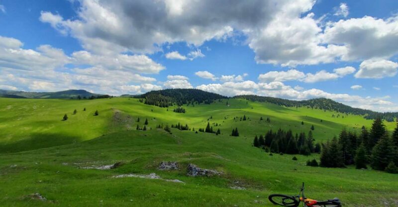 From Cluj-Napoca: Carpathian Mountains Guided Scenic Hike - An In-Depth Look at the Scenic Carpathian Hike