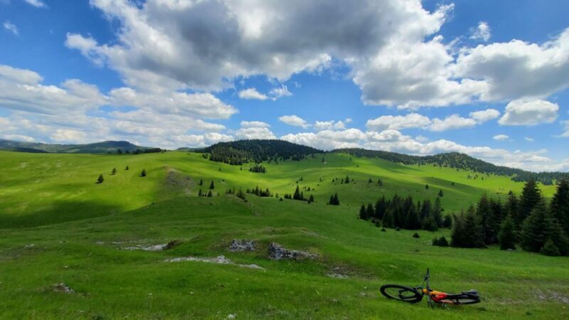 From Cluj-Napoca: Carpathian Mountains Guided Scenic Hike - Final Thoughts