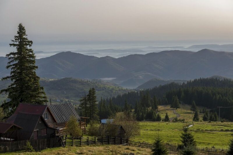 From Cluj-Napoca: Day Hike to Vldeasa Peak - Who Should Consider This Tour?