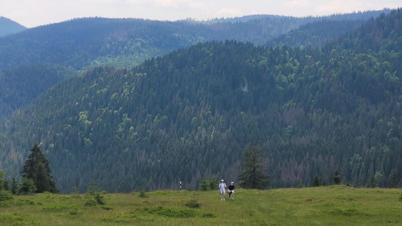 From Cluj-Napoca: Day Hike to Vldeasa Peak - Final Thoughts