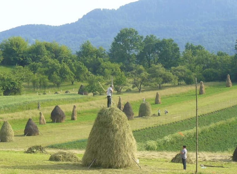 From Cluj-Napoca: Maramure 3-Day Tour with Accommodation - Key Points