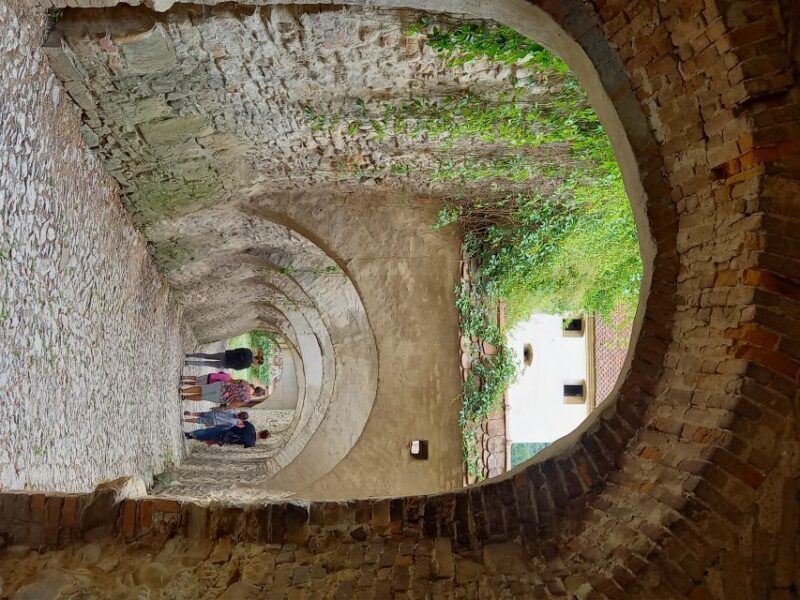 From Cluj: Sighioara and Church of Biertan Guided Tour - An In-Depth Look at What This Tour Offers