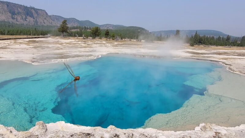 From Cody: Full-Day Yellowstone National Park Tour - FAQ