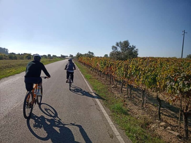 From Coimbra: Cycling in the Vineyards of Bairrada - Key Points
