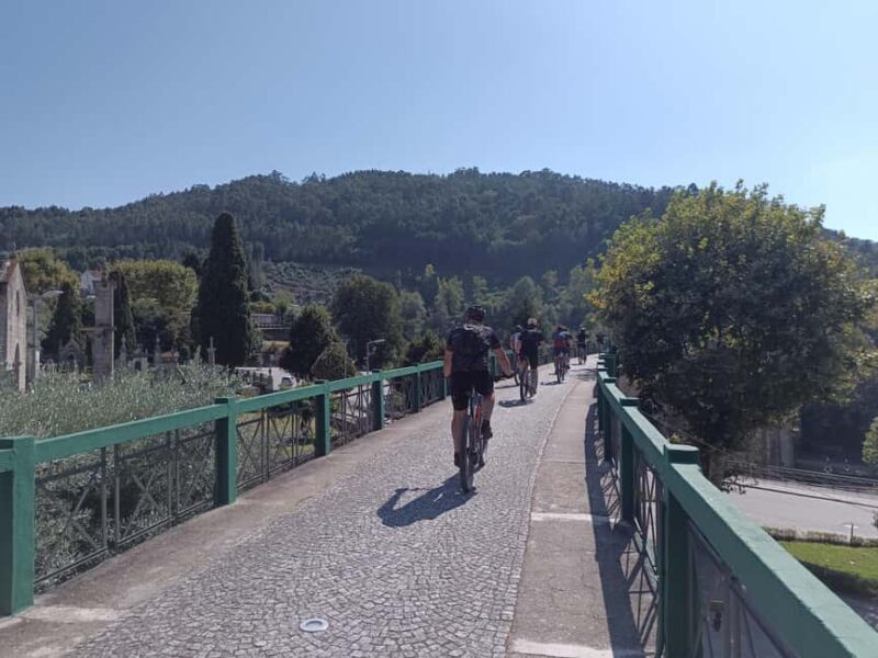 From Coimbra: Cycling on the Vouga Eco-Trail - Final Thoughts