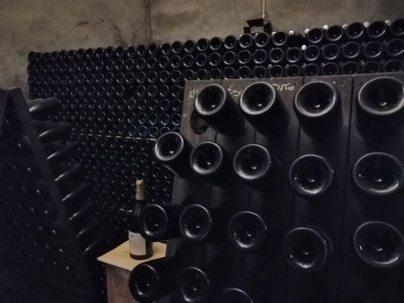 From Coimbra: Dão Wine Route Experience - The Experience for Different Travelers