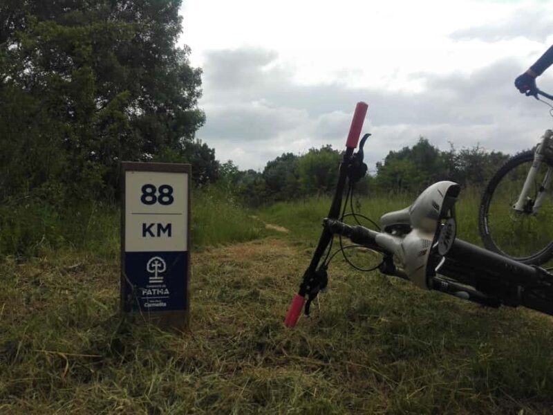 From Coimbra: E-bike tour of the Roman Ruins of Conímbriga - Key Points