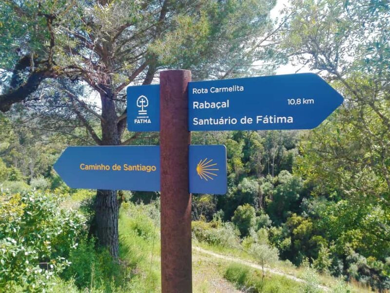 From Coimbra: E-bike tour of the Roman Ruins of Conímbriga - Final Thoughts