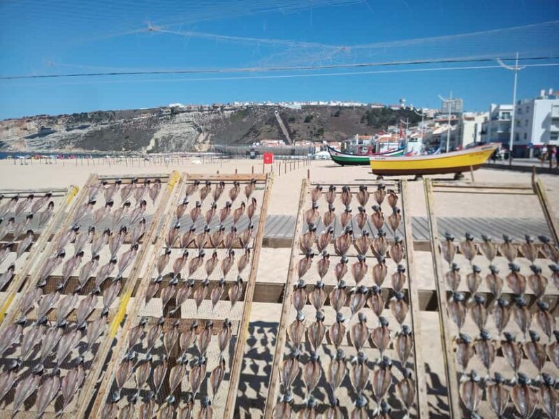 From Coimbra: Sanctuary of Fátima, Batalha, and Nazaré - An Honest Overview of the Tour