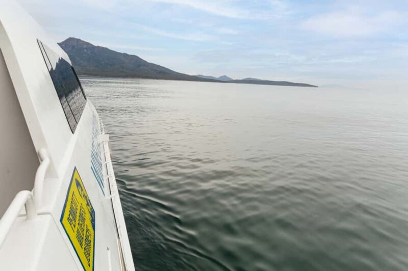 From Coles Bay: Wineglass Bay Cruise with Lunch - Practical Tips for Travelers