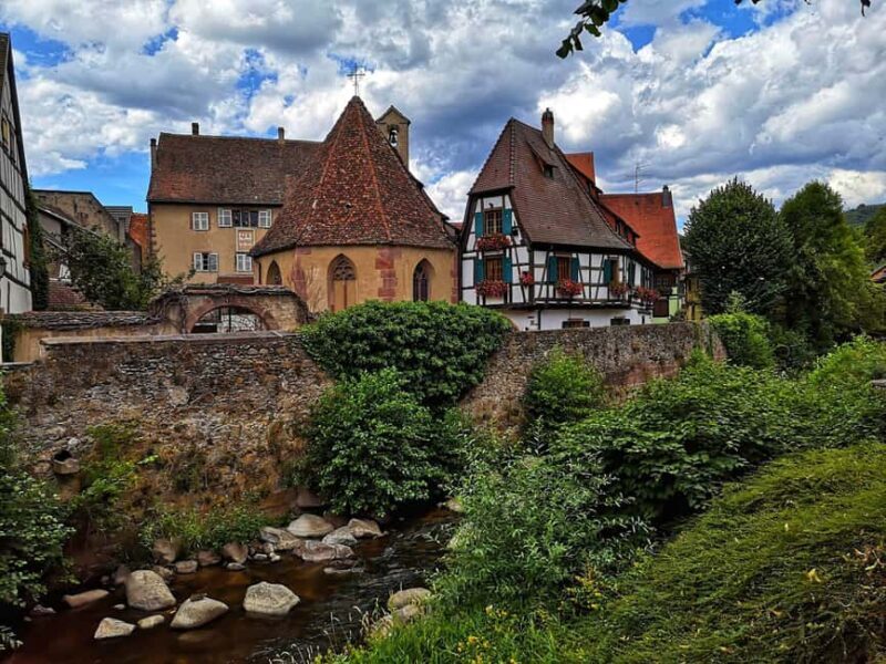 From Colmar: Alsace wine route tour Half Day - The Experience of the Guide and Transportation