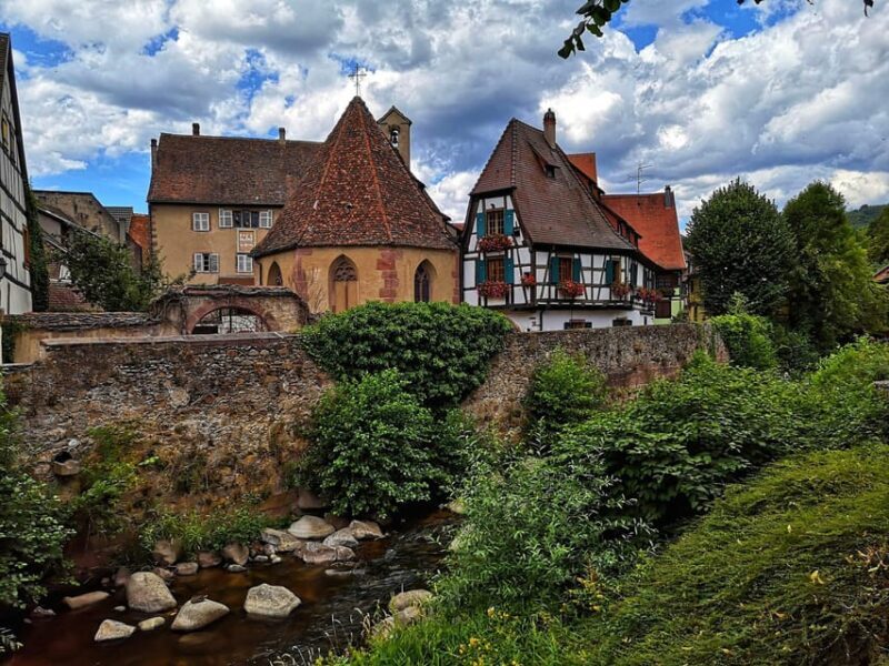 From Colmar: Alsace wine route tour Half Day - Who Would Love This Tour?
