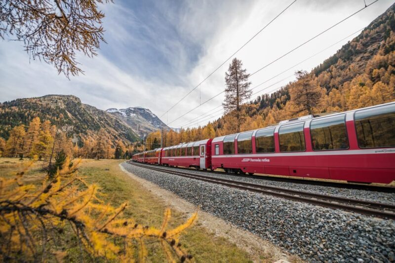 From Como: St. Moritz and Tirano Trip with Bernina Express - The Real Flavour: What Travelers Say