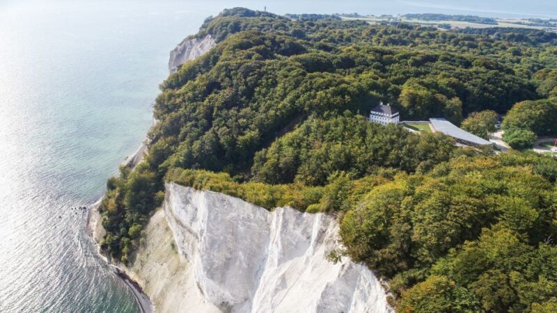 From Copenhagen: Round-Trip to Møns Klint and Forest Tower - Transportation and Comfort