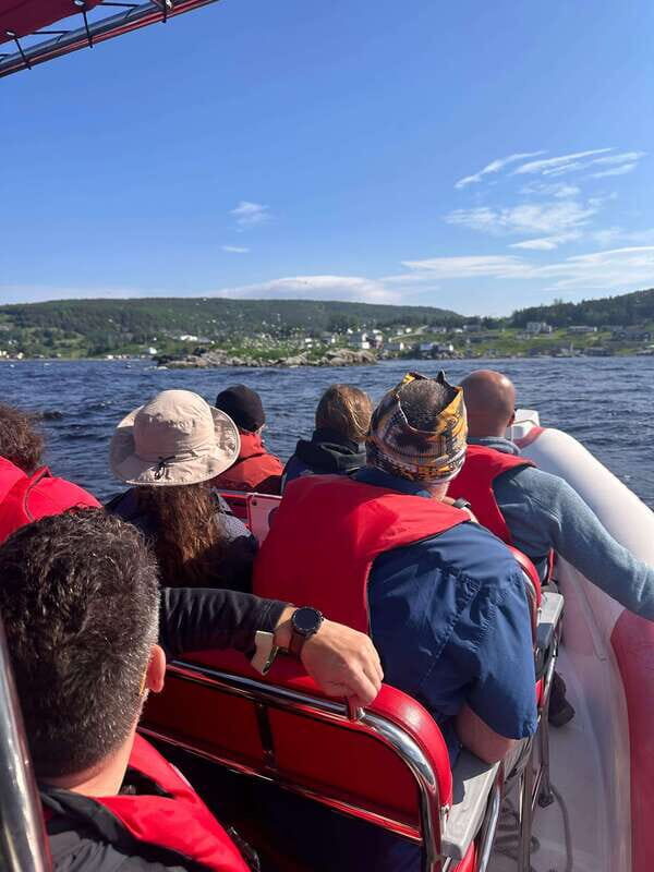 From Corner Brook : Bay Of Islands Island Zodiac Boat Tour - Exploring Corner Brook’s Coast by Zodiac: What You Can Expect