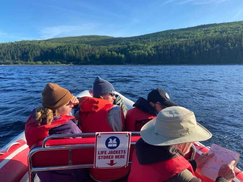 From Corner Brook : Bay Of Islands Island Zodiac Boat Tour - Is This Tour Right for You?