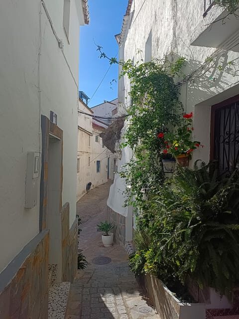 From Costa del Sol: Casares Private Tour - A Deep Dive into the Tour Experience