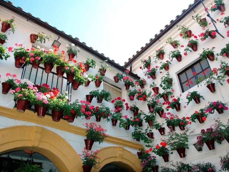 From Costa del Sol: Day Trip to Cordoba Free Time - The Morning Pickup and Journey