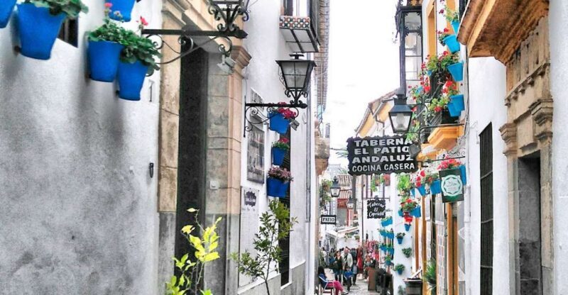 From Costa del Sol: Day Trip to Cordoba Free Time - The Return Journey and Practicalities