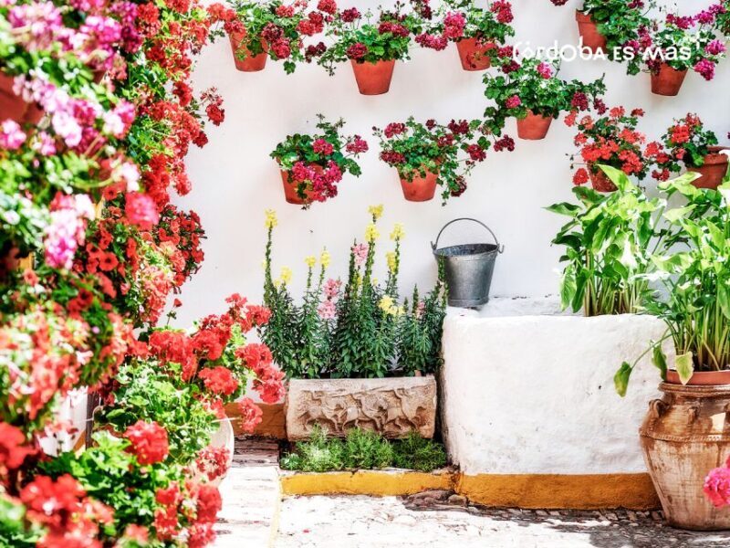 From Costa del Sol: Day Trip to Cordoba Free Time - Who Is This Trip Best For?