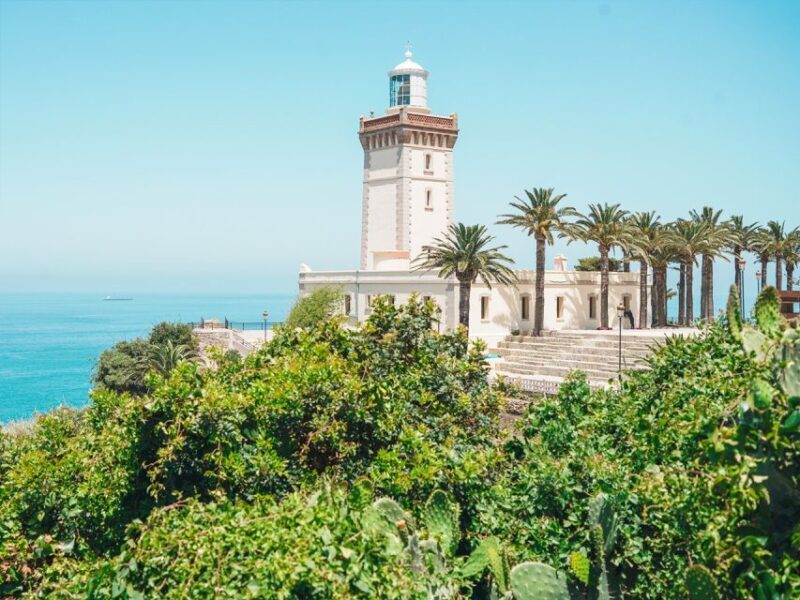 From Costa del Sol: Discover Tangier on a Guided Day Trip - The Experience: What You Can Expect