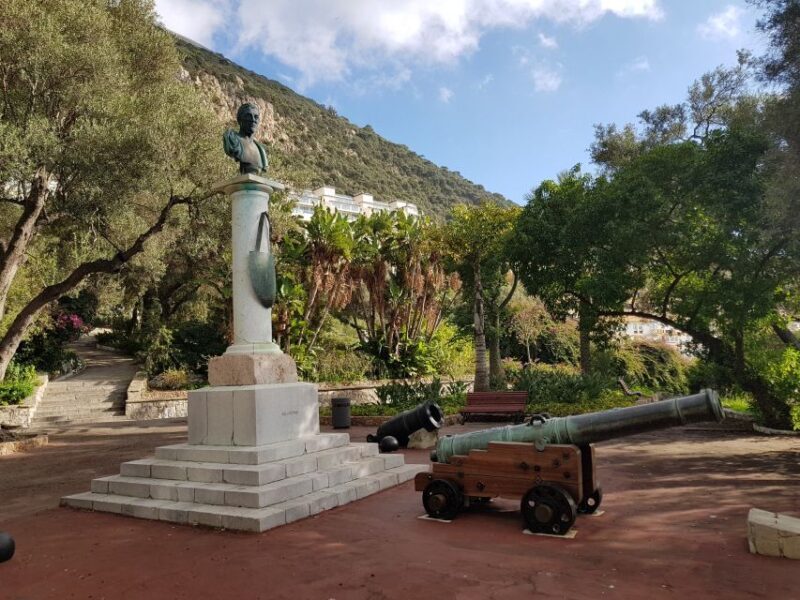 From Costa del Sol: Gibraltar Dolphin Watching by Boat - Key Points