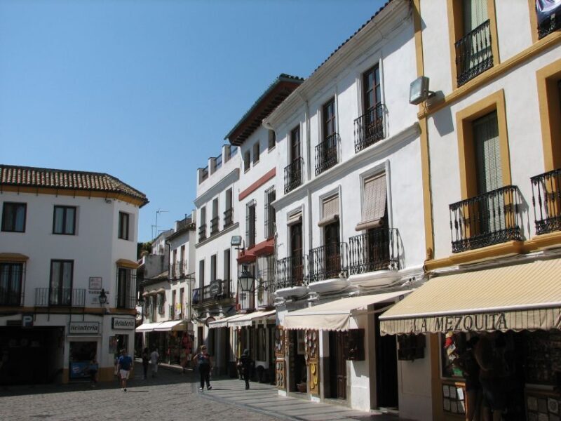 From Costa del Sol & Malaga: Cordoba Guided Day Tour - Who Should Consider This Tour?